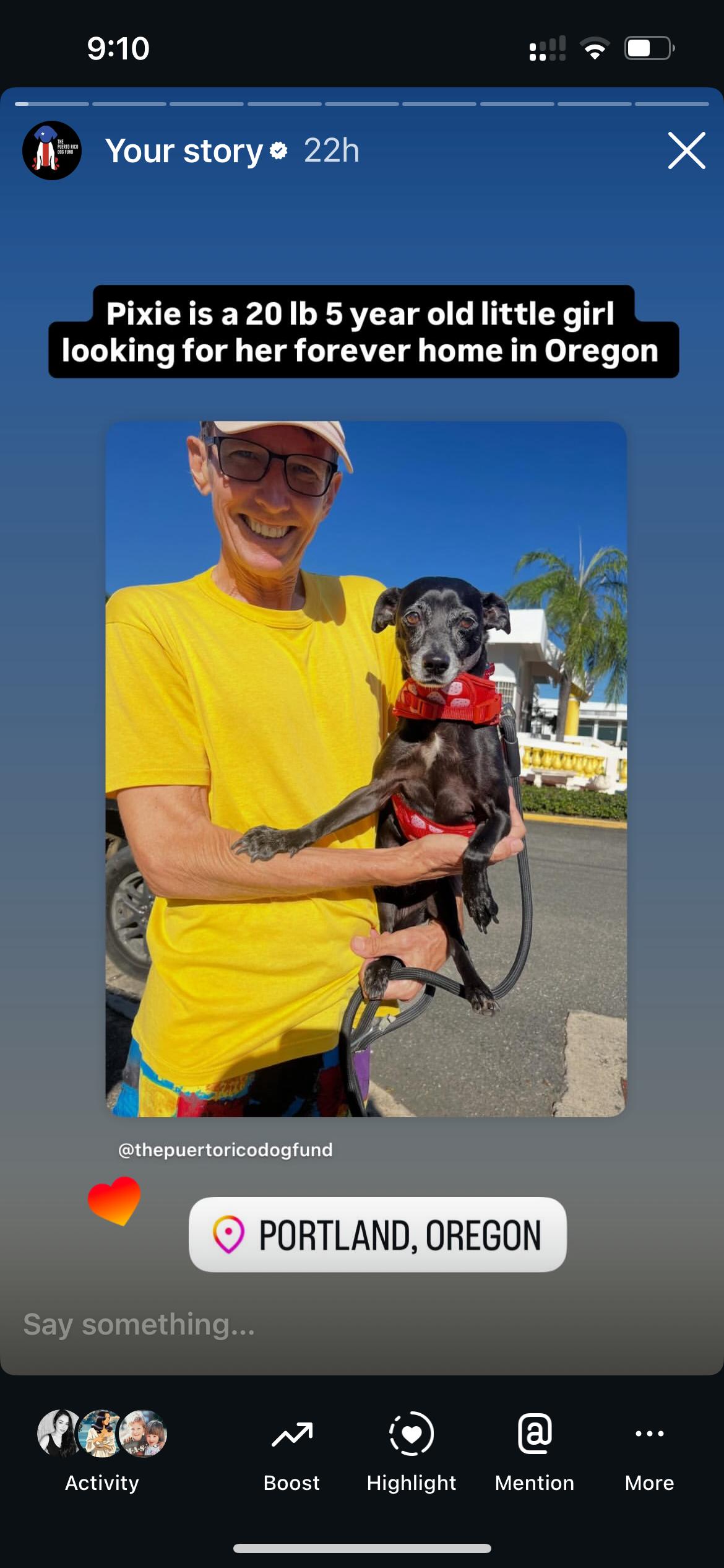 Enlarge Pixie , a ADOPTABLE mixed breed in Milwaukie, OR image 1/6