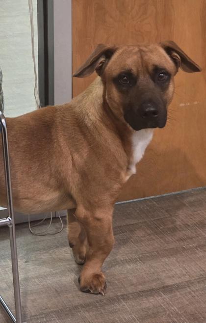 Col Sanders thumbnail 2