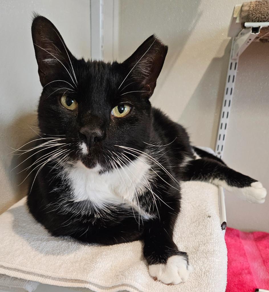 Ottawa — thumbnail 2