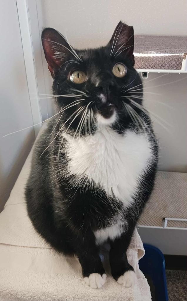 Ottawa — thumbnail 3