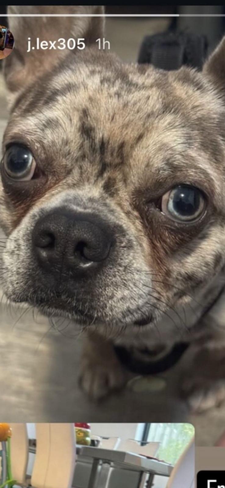 Chico
