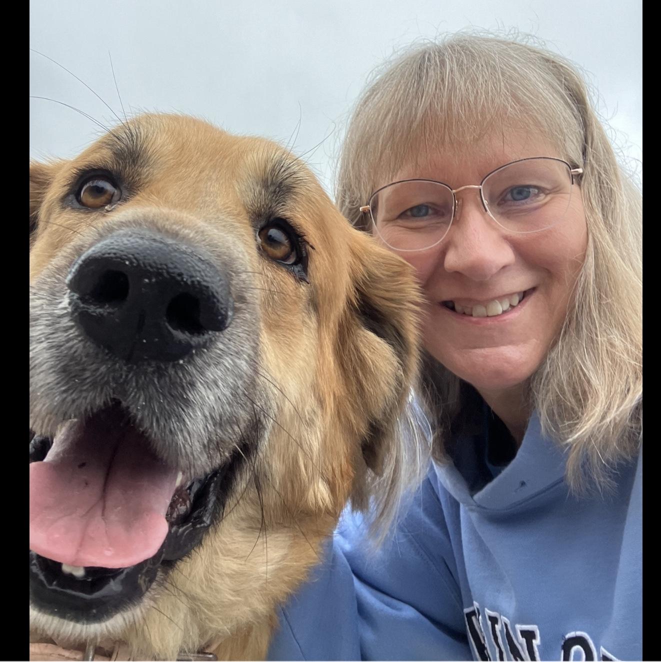 Enlarge Amber, an adoptable mixed breed in Hollister, MO image 5/5