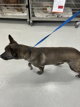 Bundt — thumbnail 2