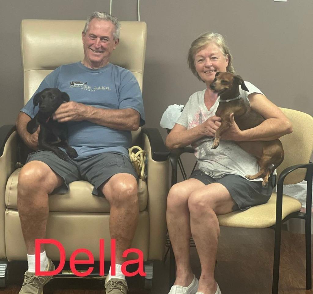 Enlarge DELLA, a Adoptable mixed breed in Crossville, TN image 2/4