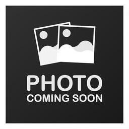 Enlarge Jack Daniels, a ADOPTABLE Domestic Medium Hair in Richboro, PA image 1/1