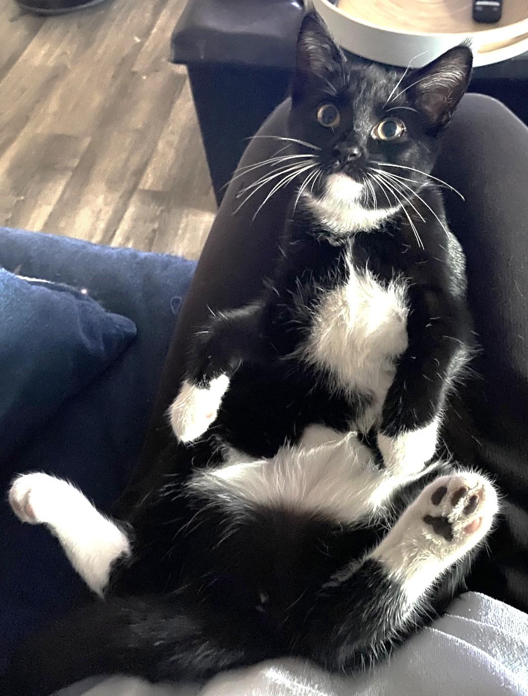 Luna