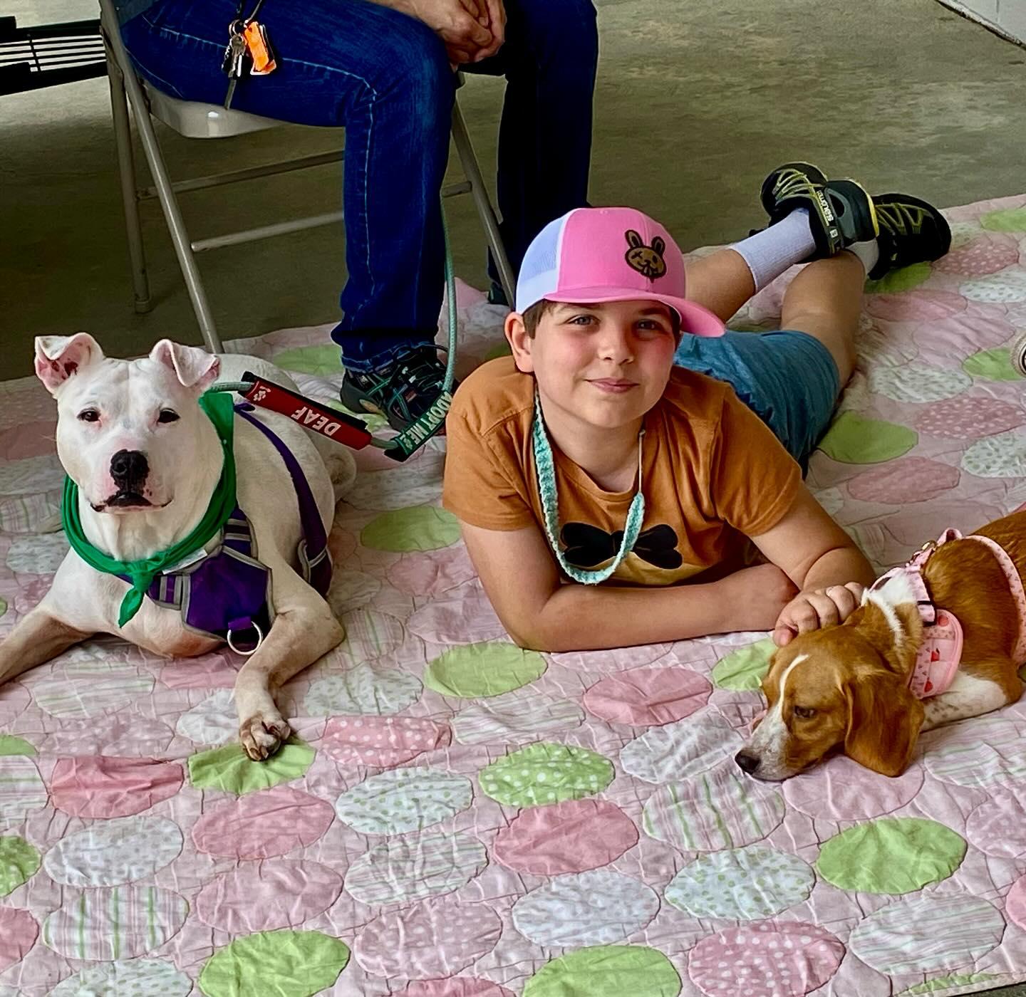 Zoe, a Adoptable mixed breed in Raleigh, NC image 2/6