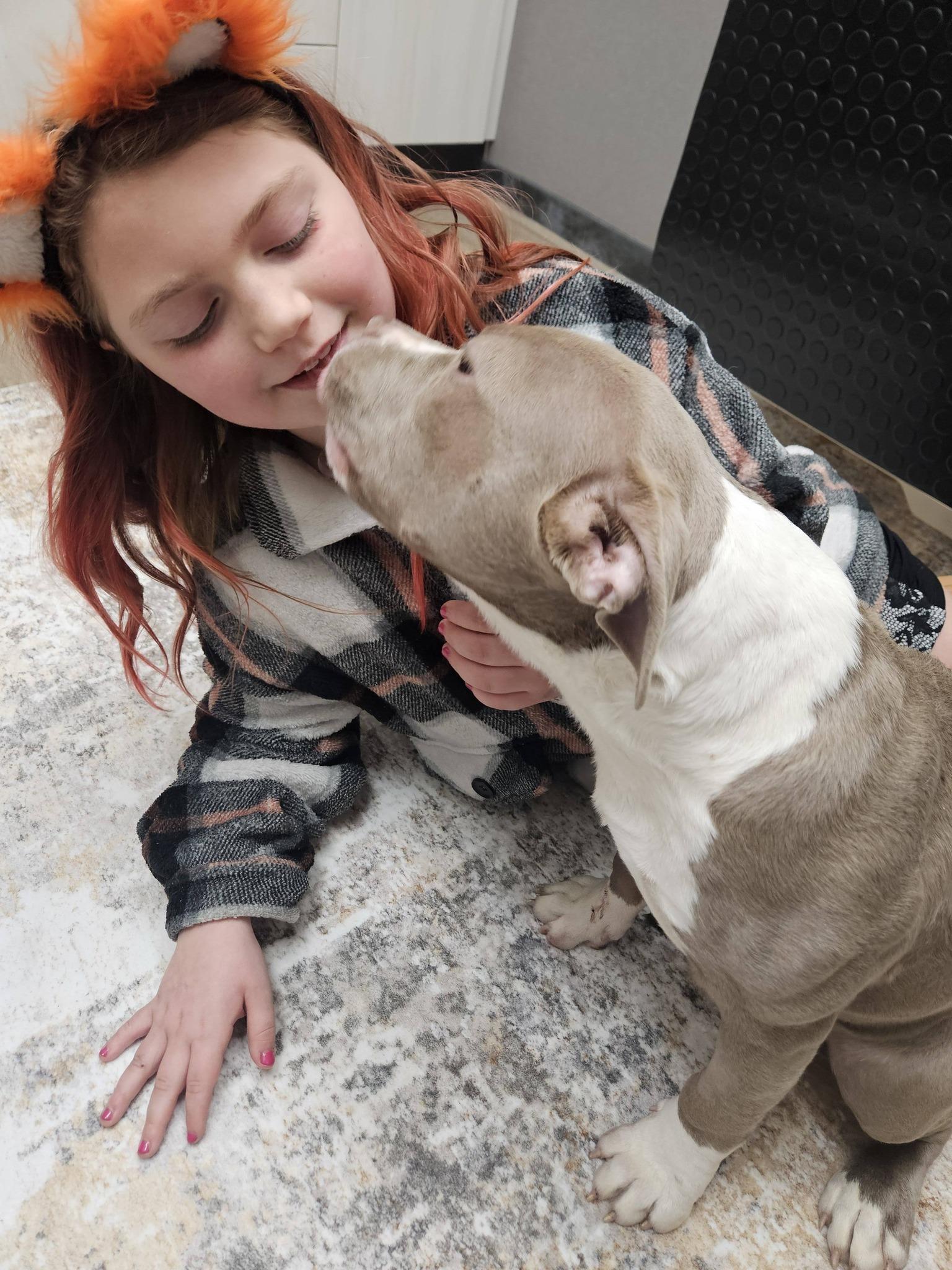 Enlarge Captain Morgan, a ADOPTABLE mixed breed in Crown Point, IN image 4/6