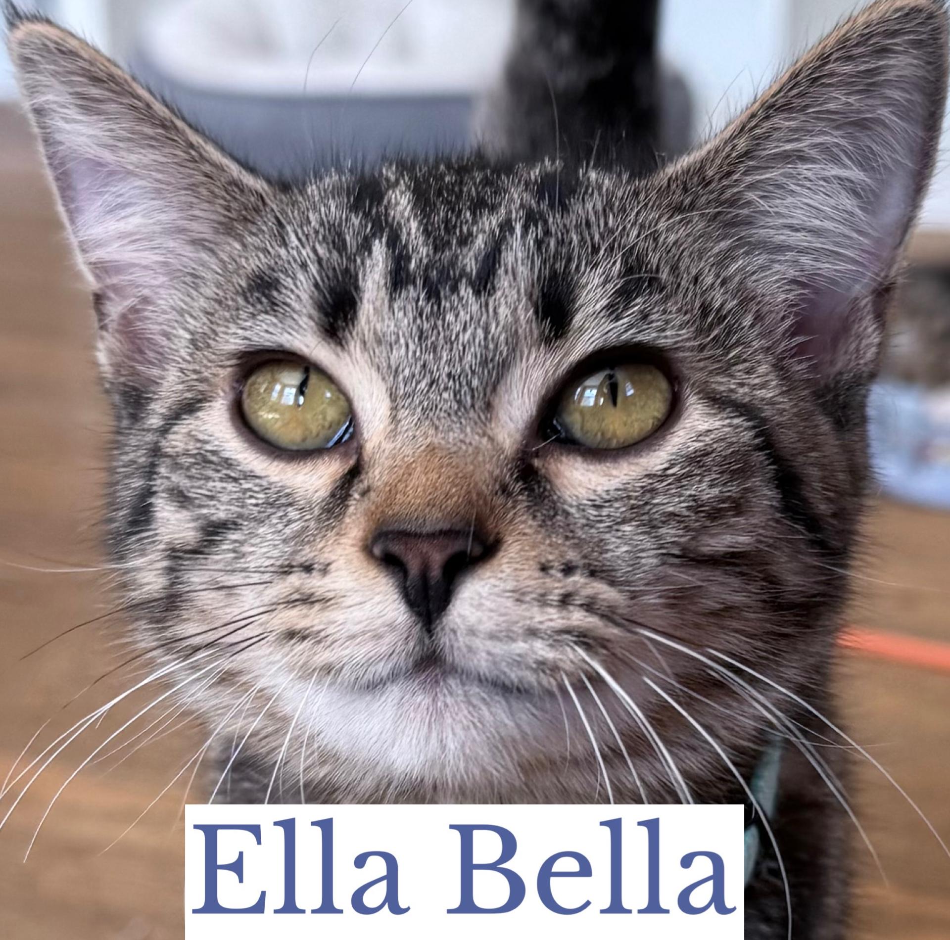 Ella Bella