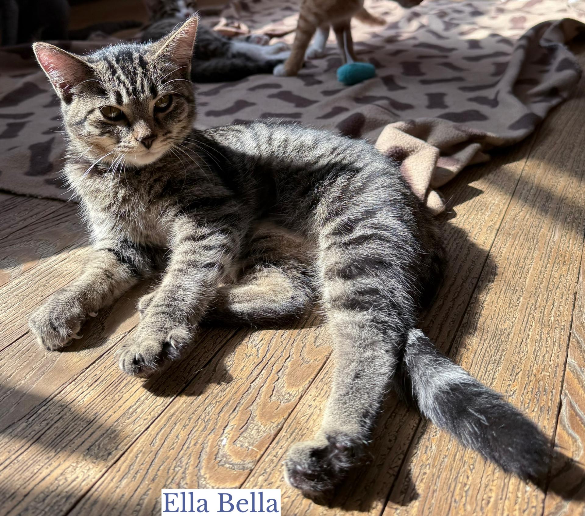 Ella Bella