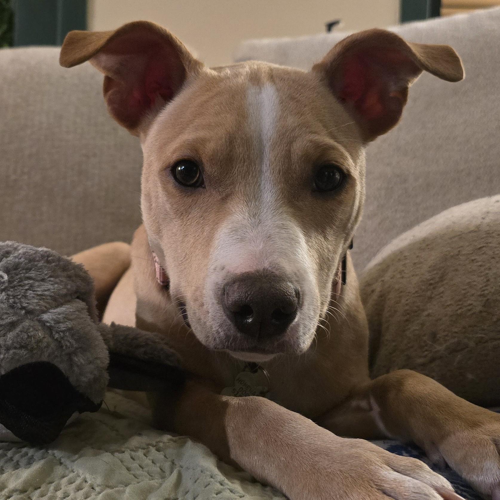 Lexi photo