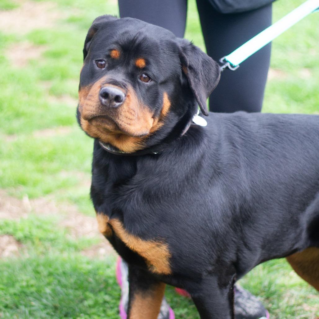 Milk Tea 2234 — thumbnail 4