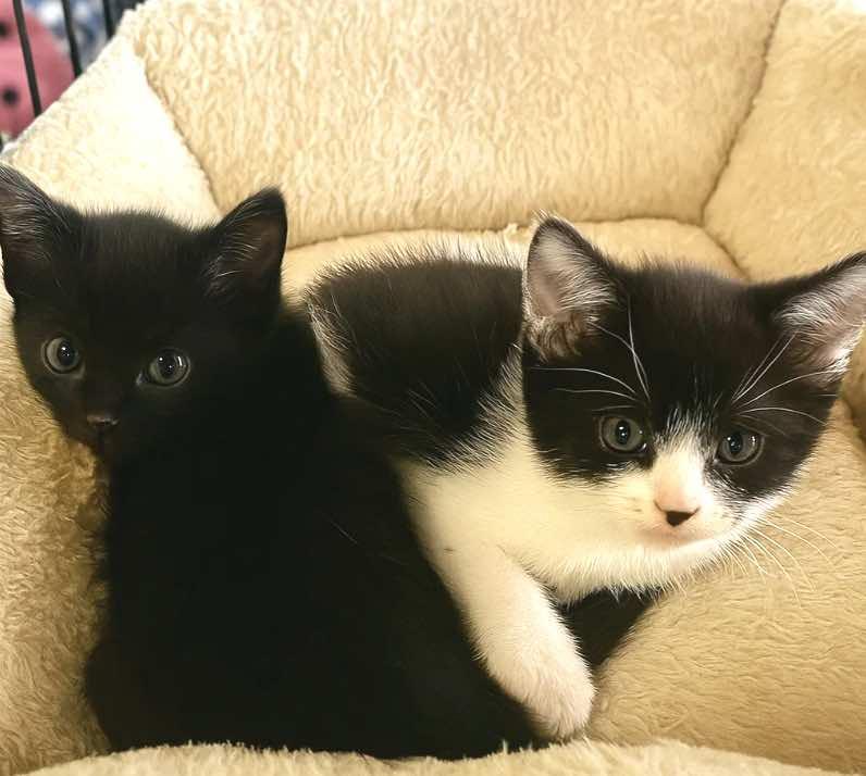 Marie and Donny (Siblings)