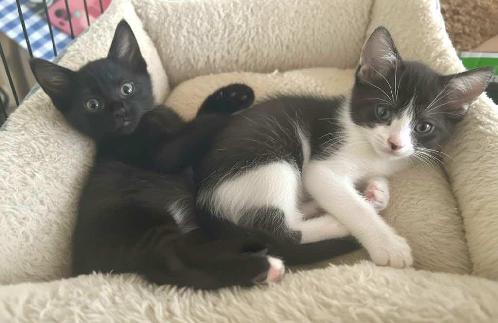 Marie and Donny (Siblings)