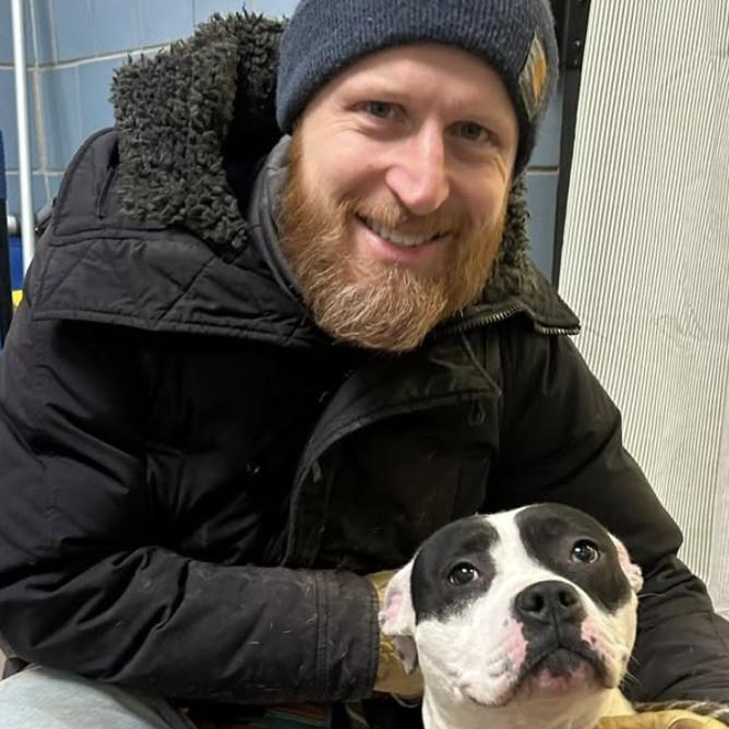 Joelle, a ADOPTABLE Pit Bull Terrier in Chicago, IL image 4/5