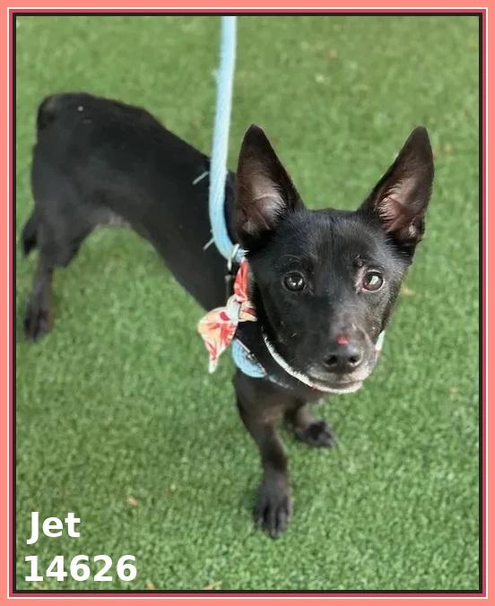 JET