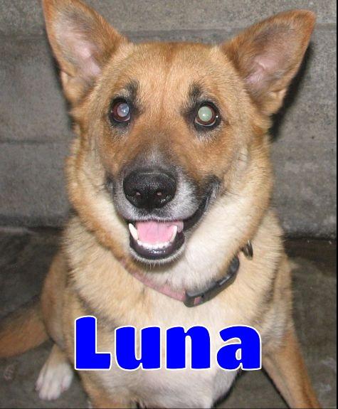 Luna photo 2