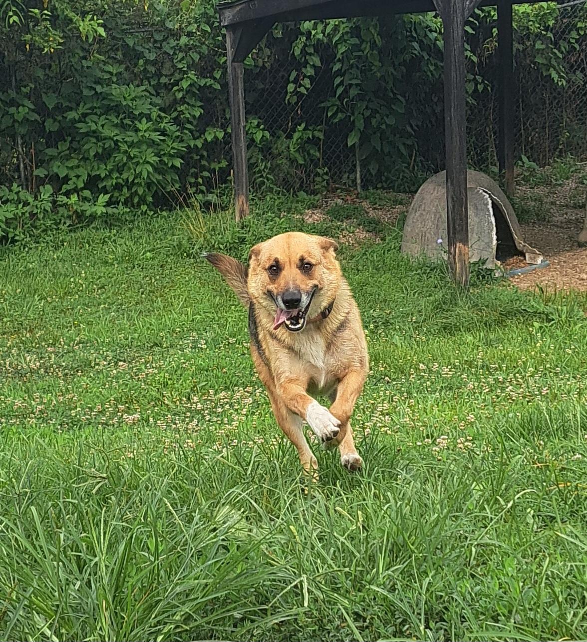 Luna photo 4