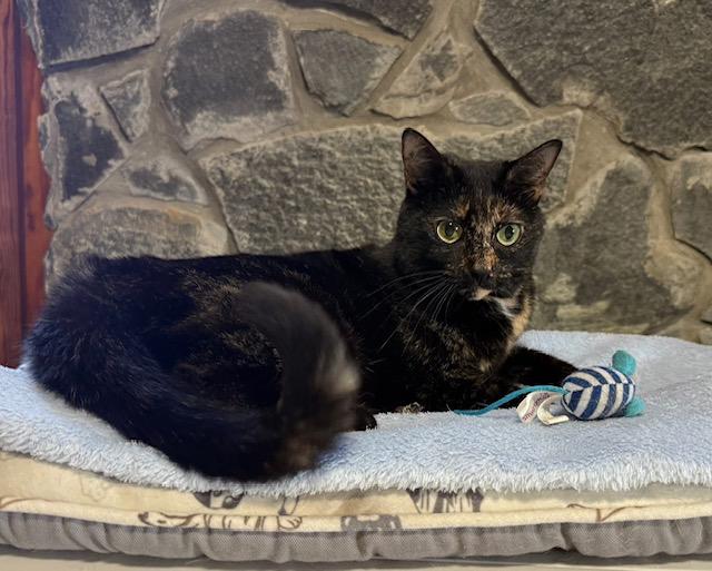 Swift Welcome To The