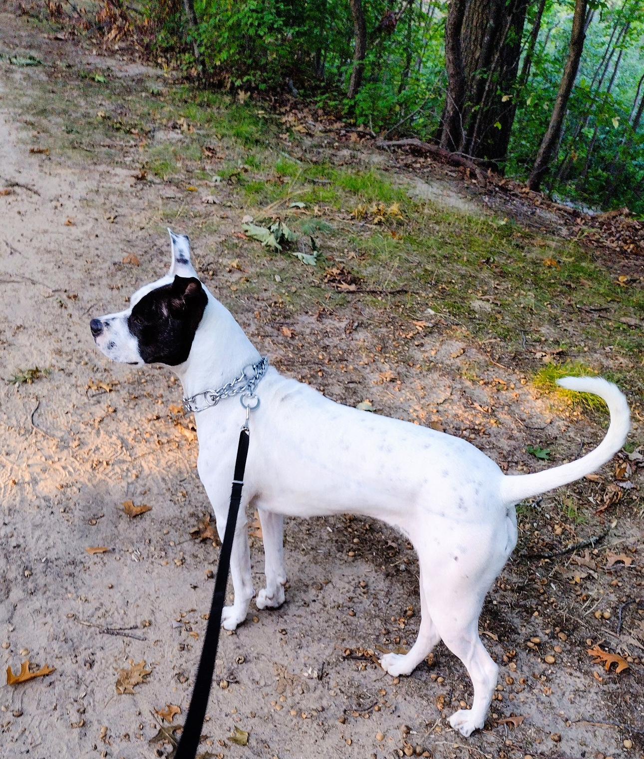 Maggie!  Years Of thumbnail 3