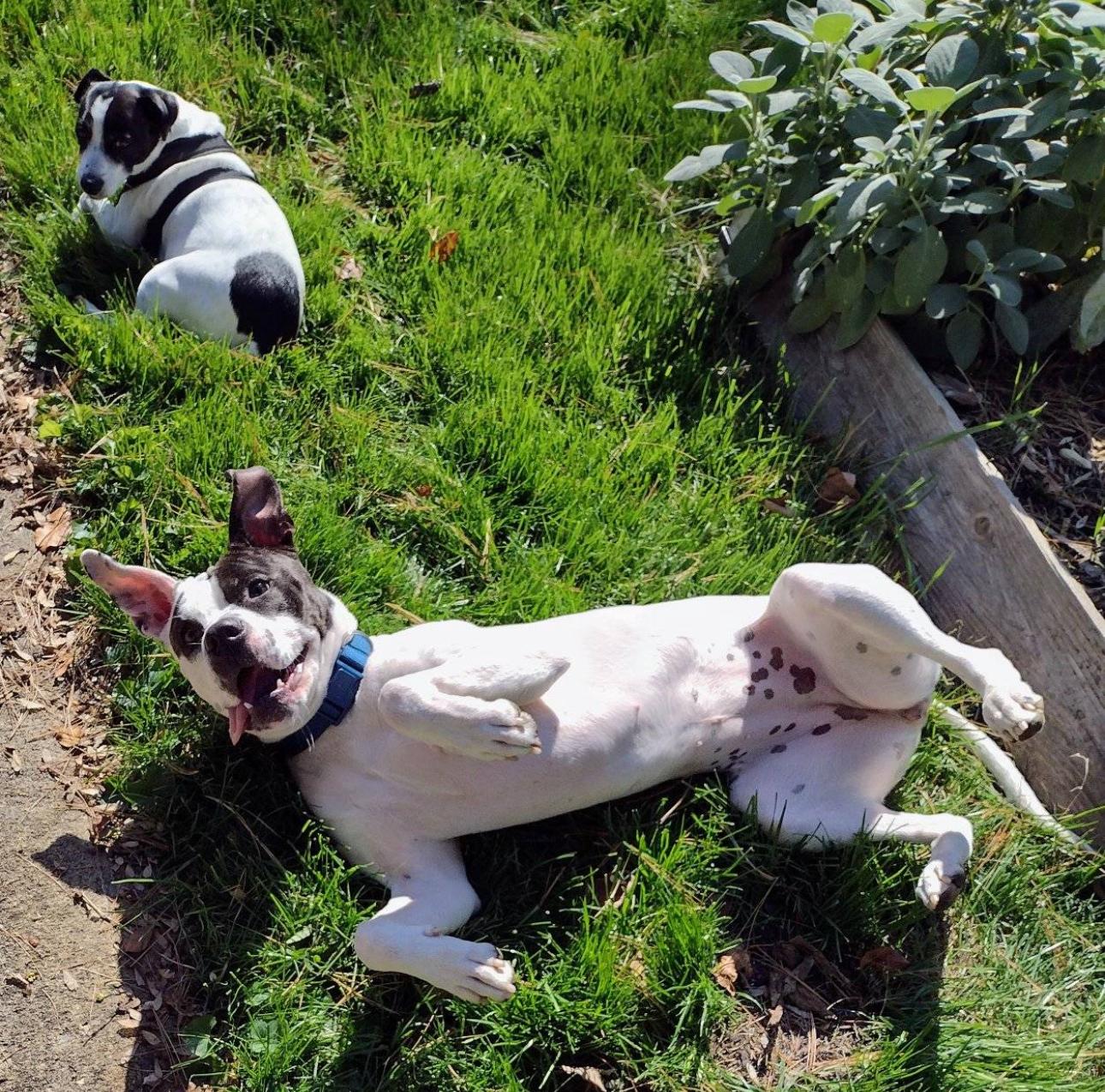 Maggie!  Years Of thumbnail 4