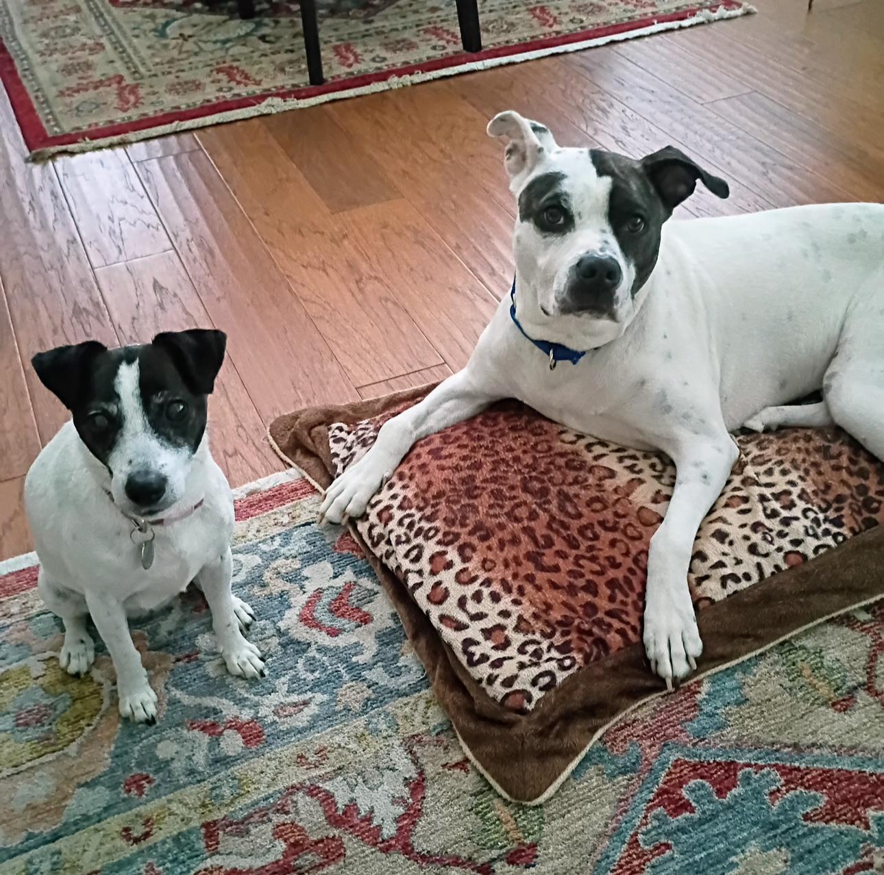 Maggie!  Years Of thumbnail 5