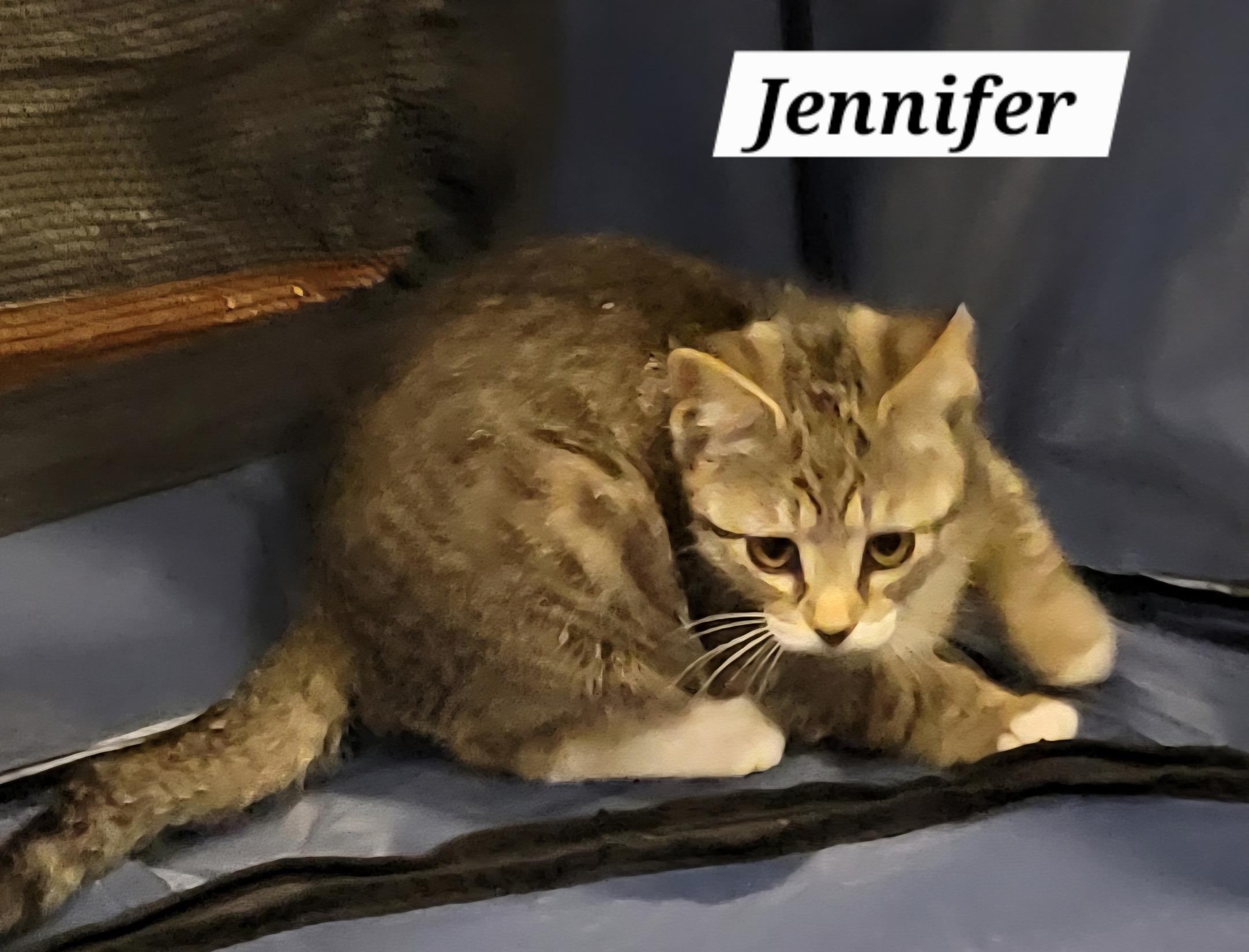 Jennifer - Criminal Minds Litter photo 2
