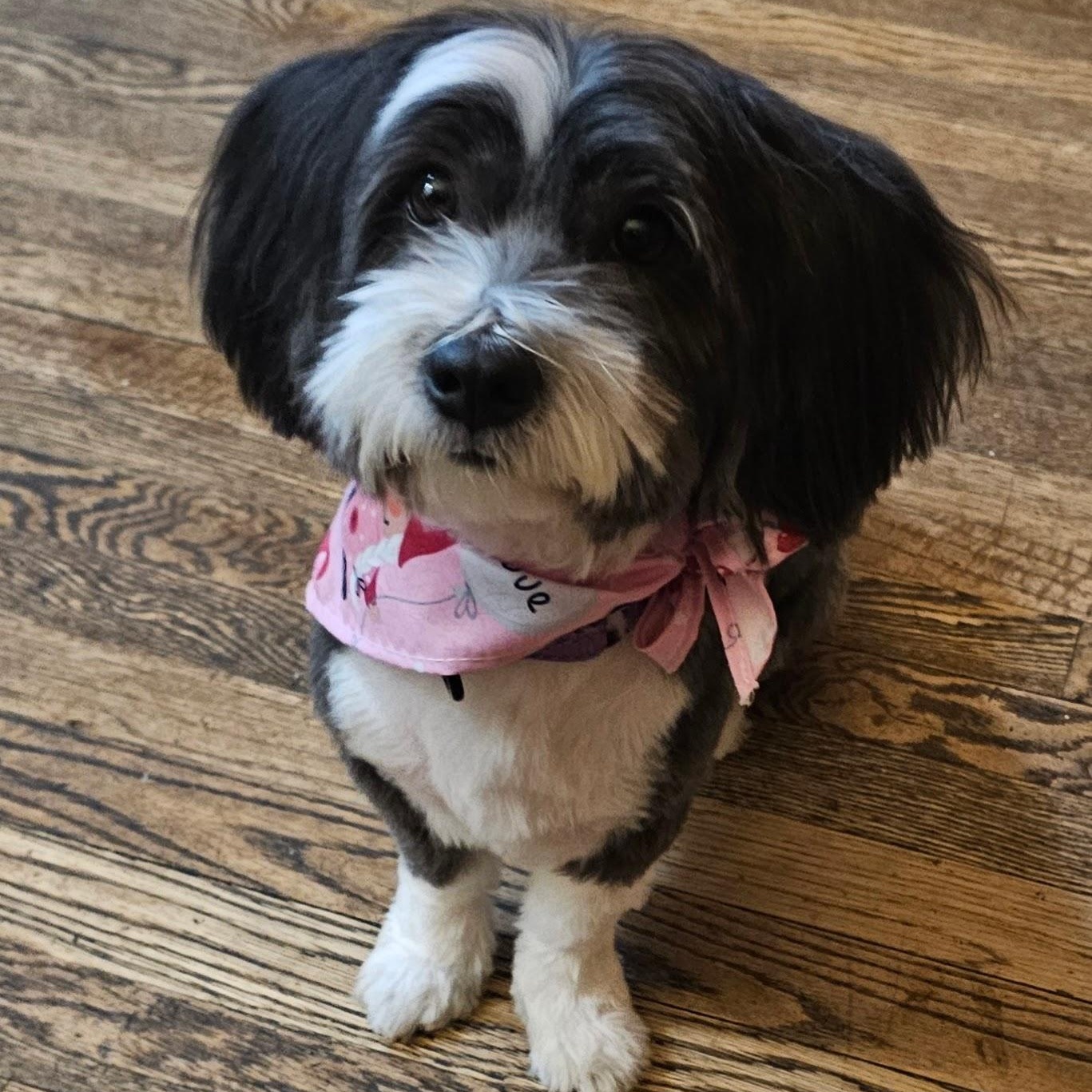 Nellie