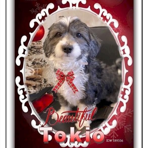 Nellie thumbnail 7