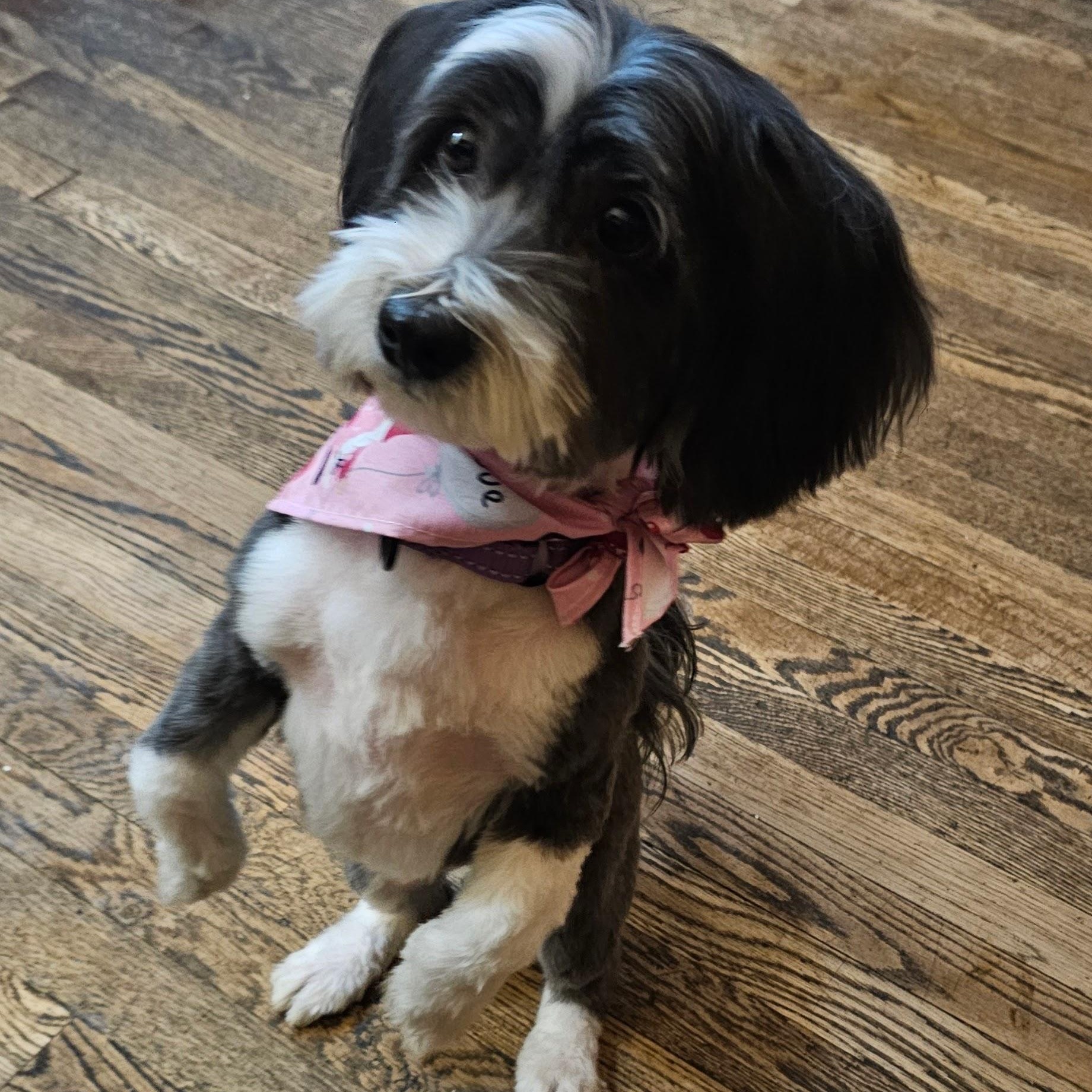 Nellie