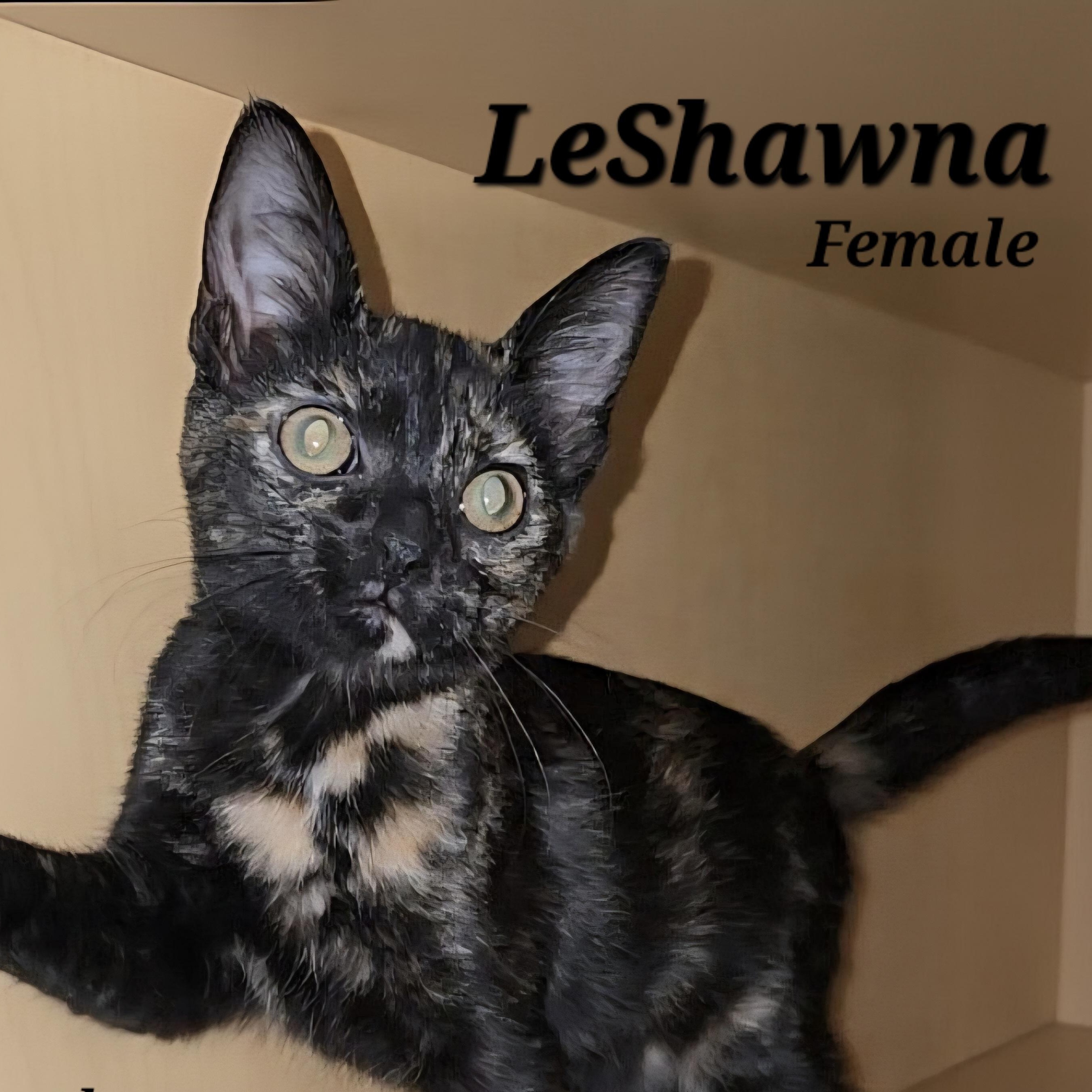 LeShawna
