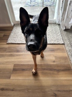 **COURTESY LISTING** Bella photo 2