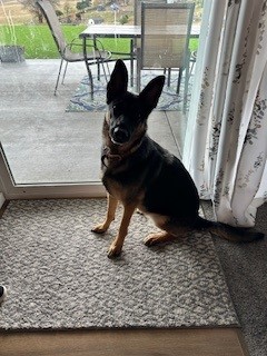 **COURTESY LISTING** Bella photo 1