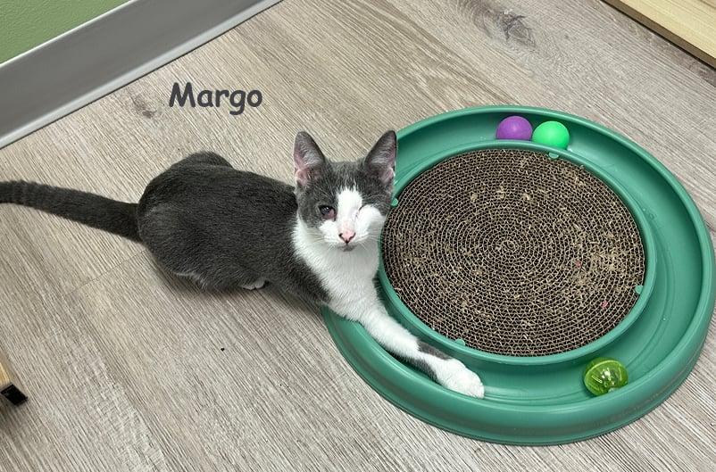 Margot bonded w/Mabel