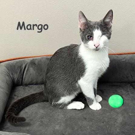 Margot bonded w/Mabel