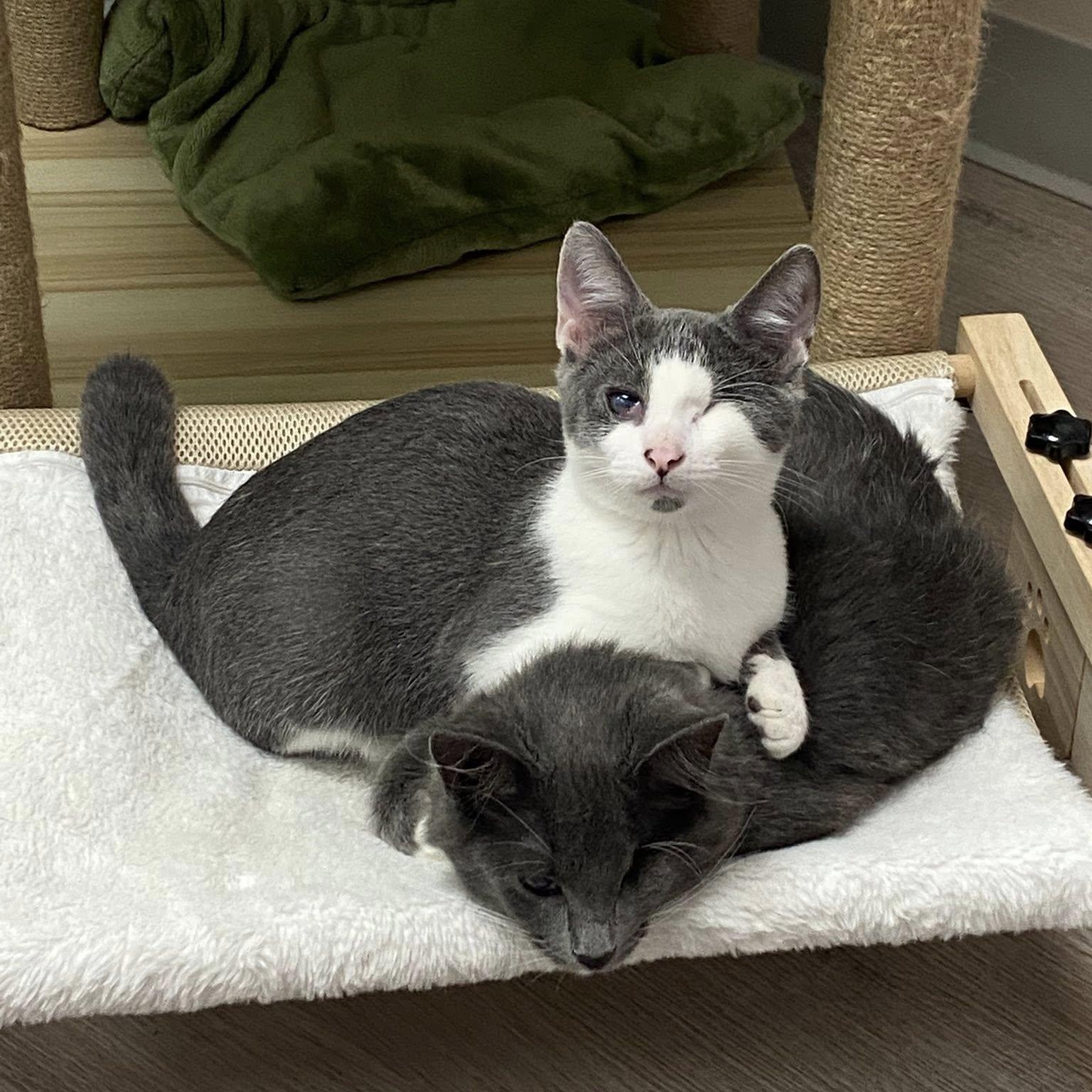 Margot bonded w/Mabel