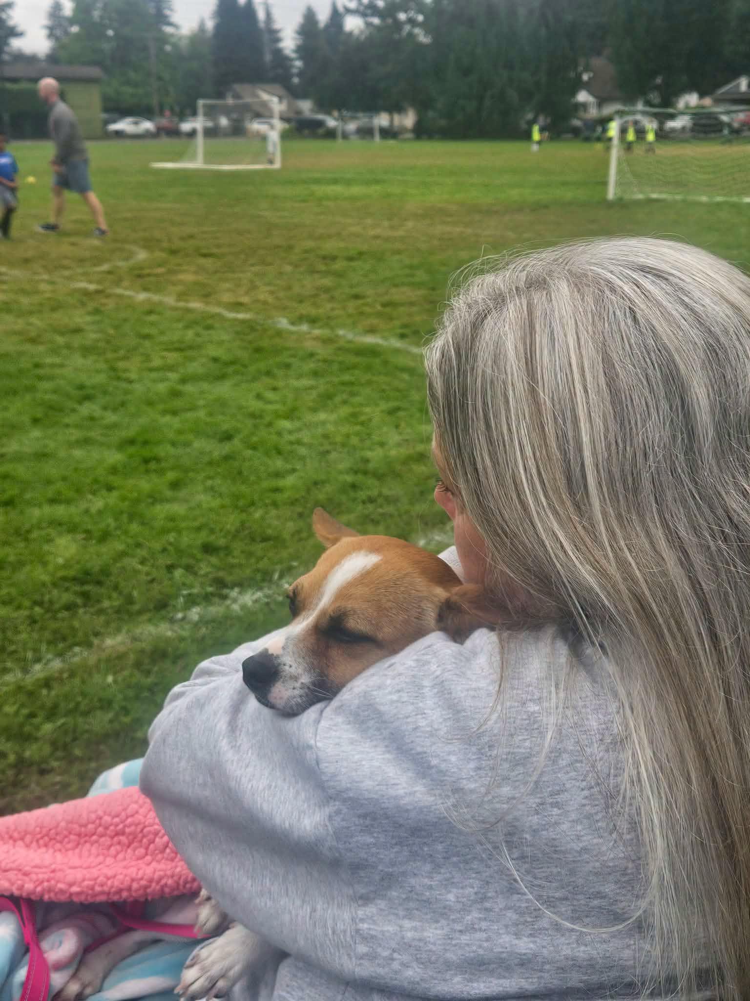 Enlarge Rhian, a Adoptable mixed breed in Covington, WA image 5/6