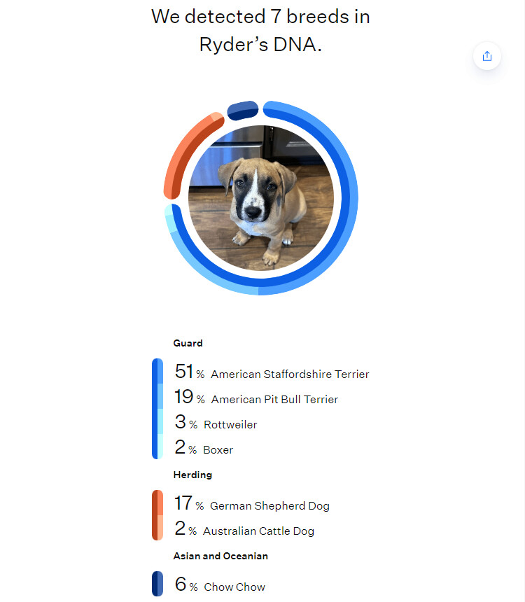 Enlarge Mackenzie, a Adoptable mixed breed in Coachella, CA image 12/14