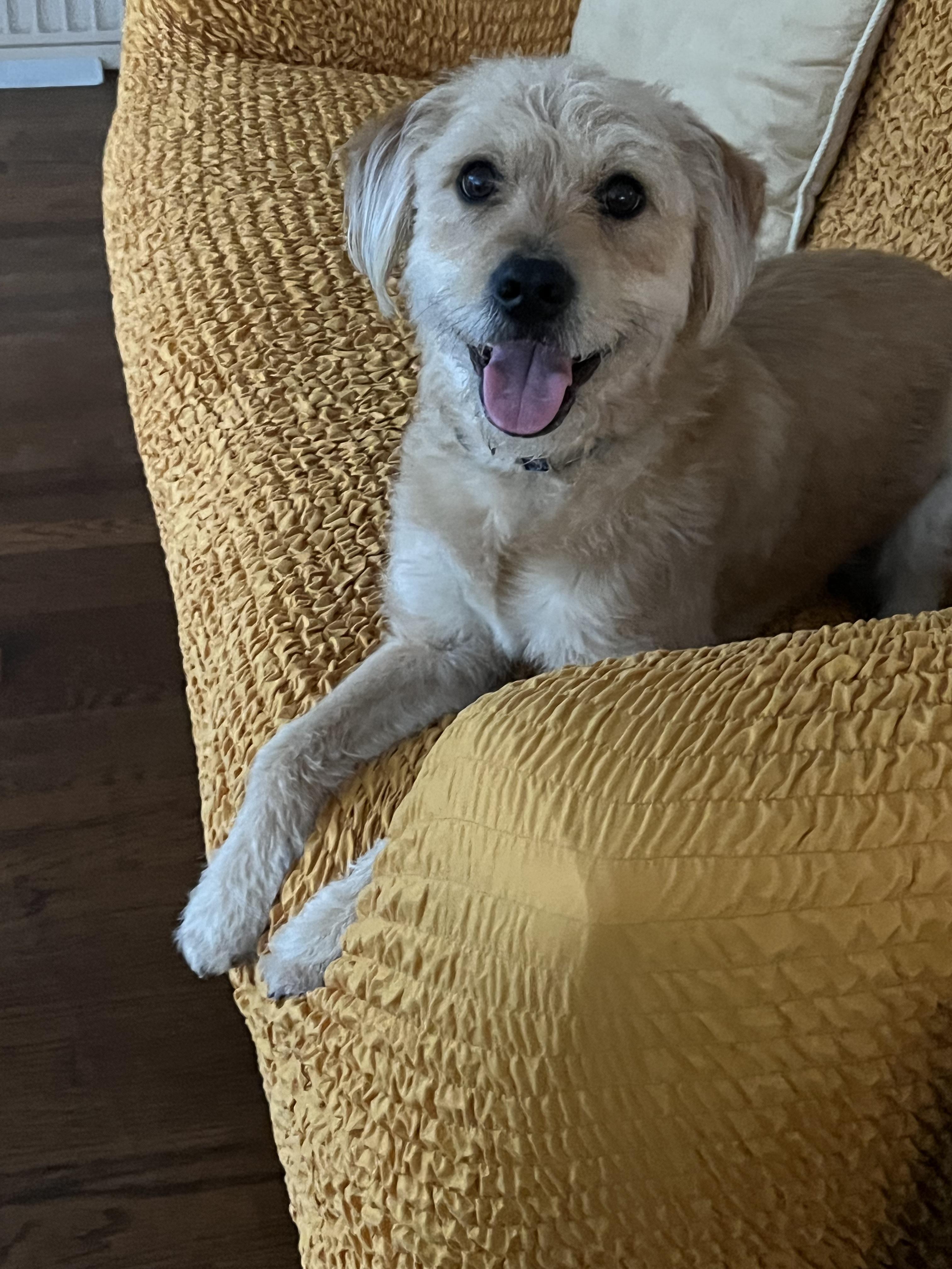 Bexley And Layken : thumbnail 2