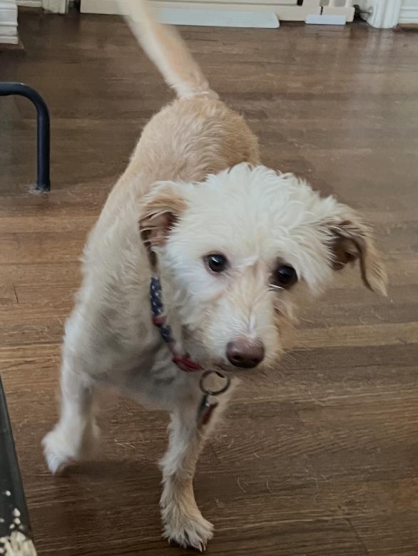 Bexley And Layken : thumbnail 3