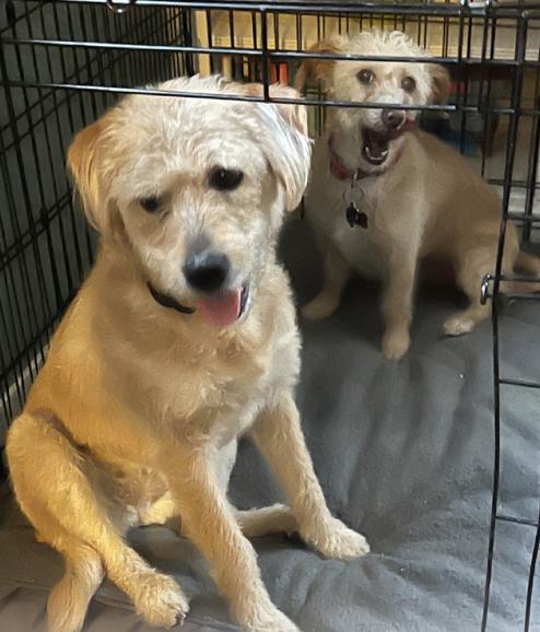 Bexley And Layken : thumbnail 5