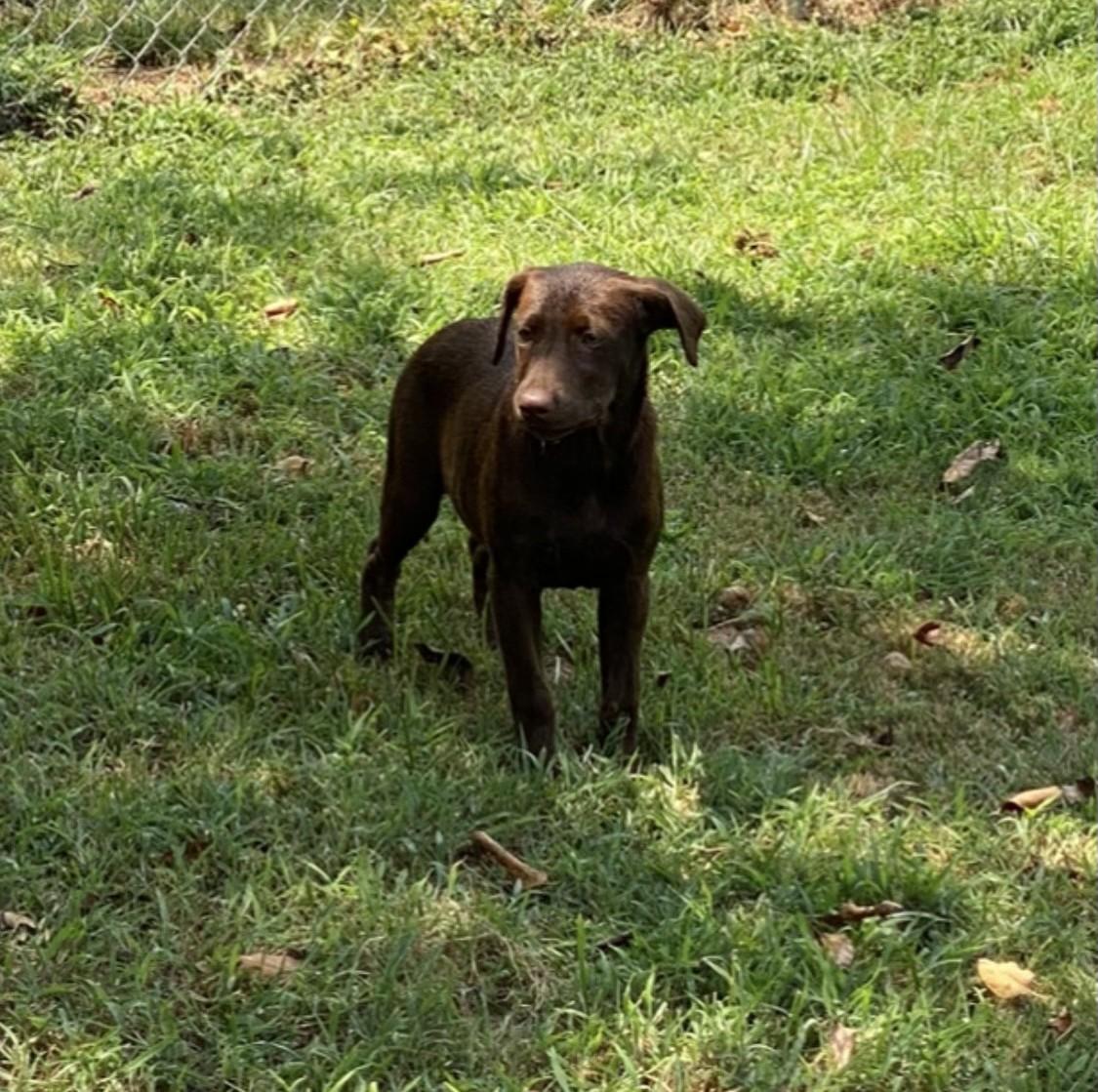 Candy - Come Meet Me!