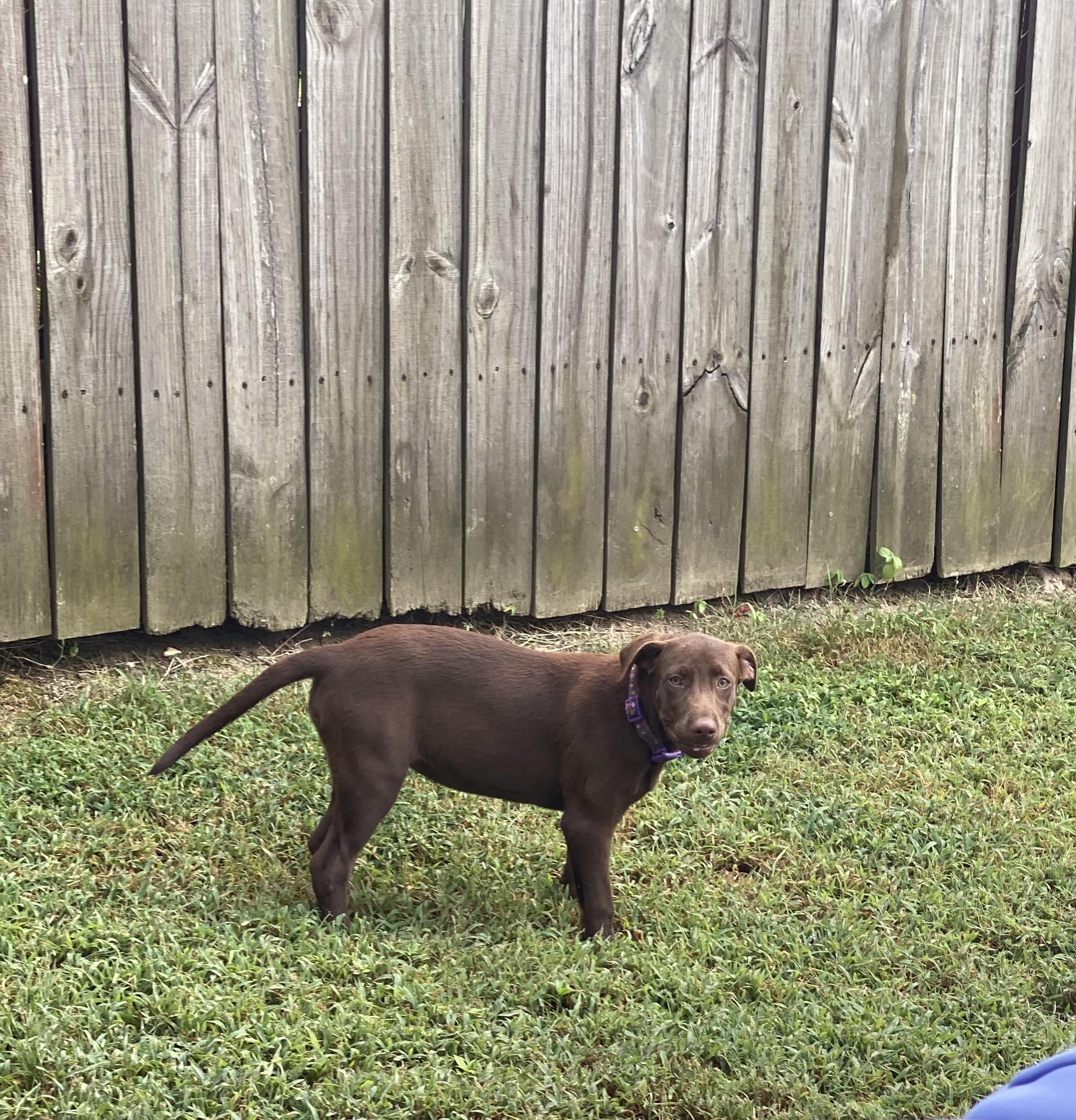 Candy - Come Meet Me!