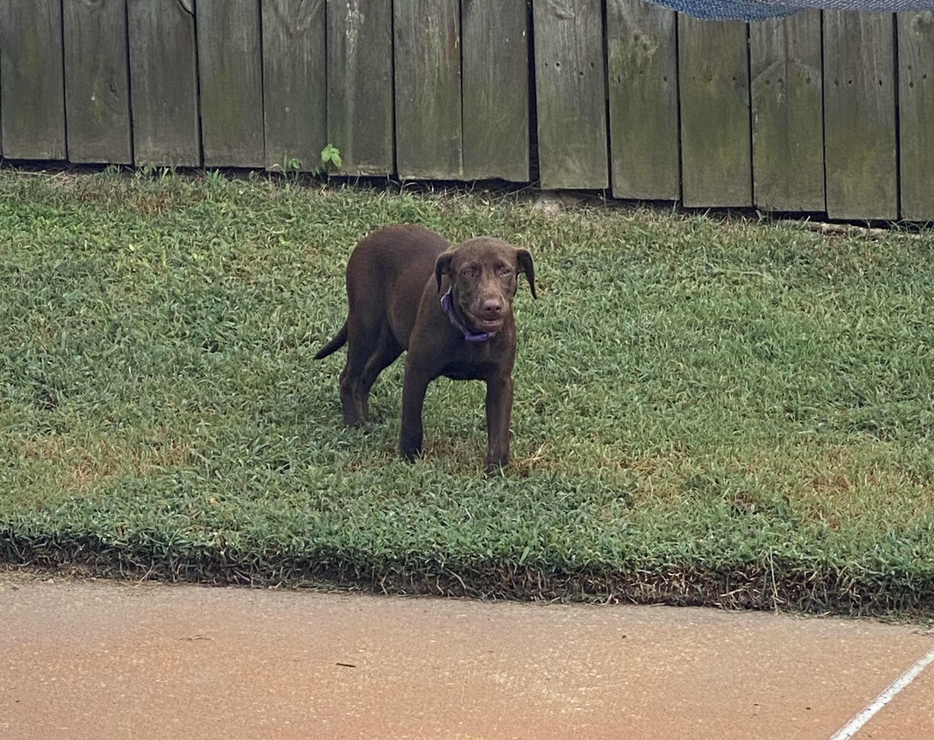 Candy - Come Meet Me!