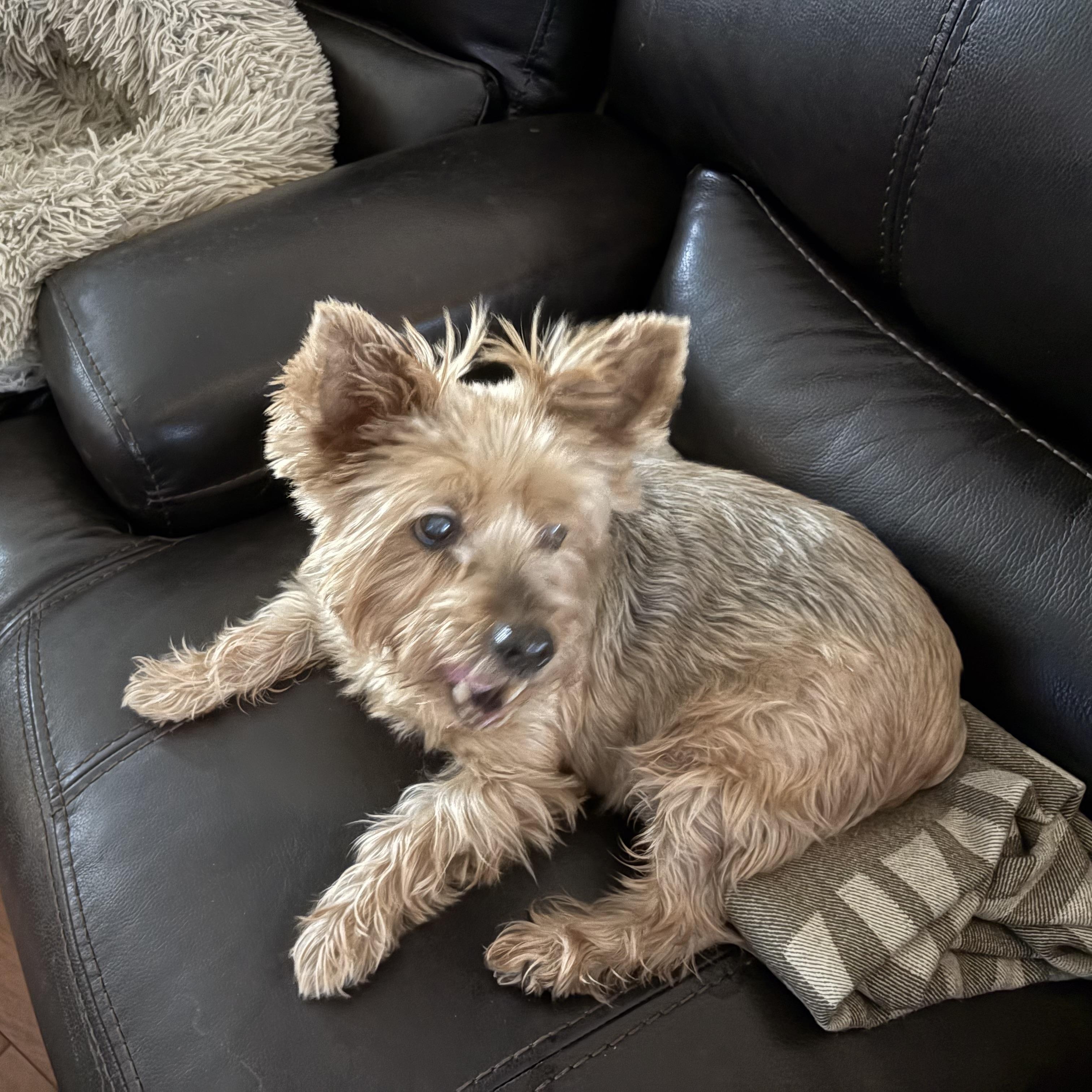 Rosie