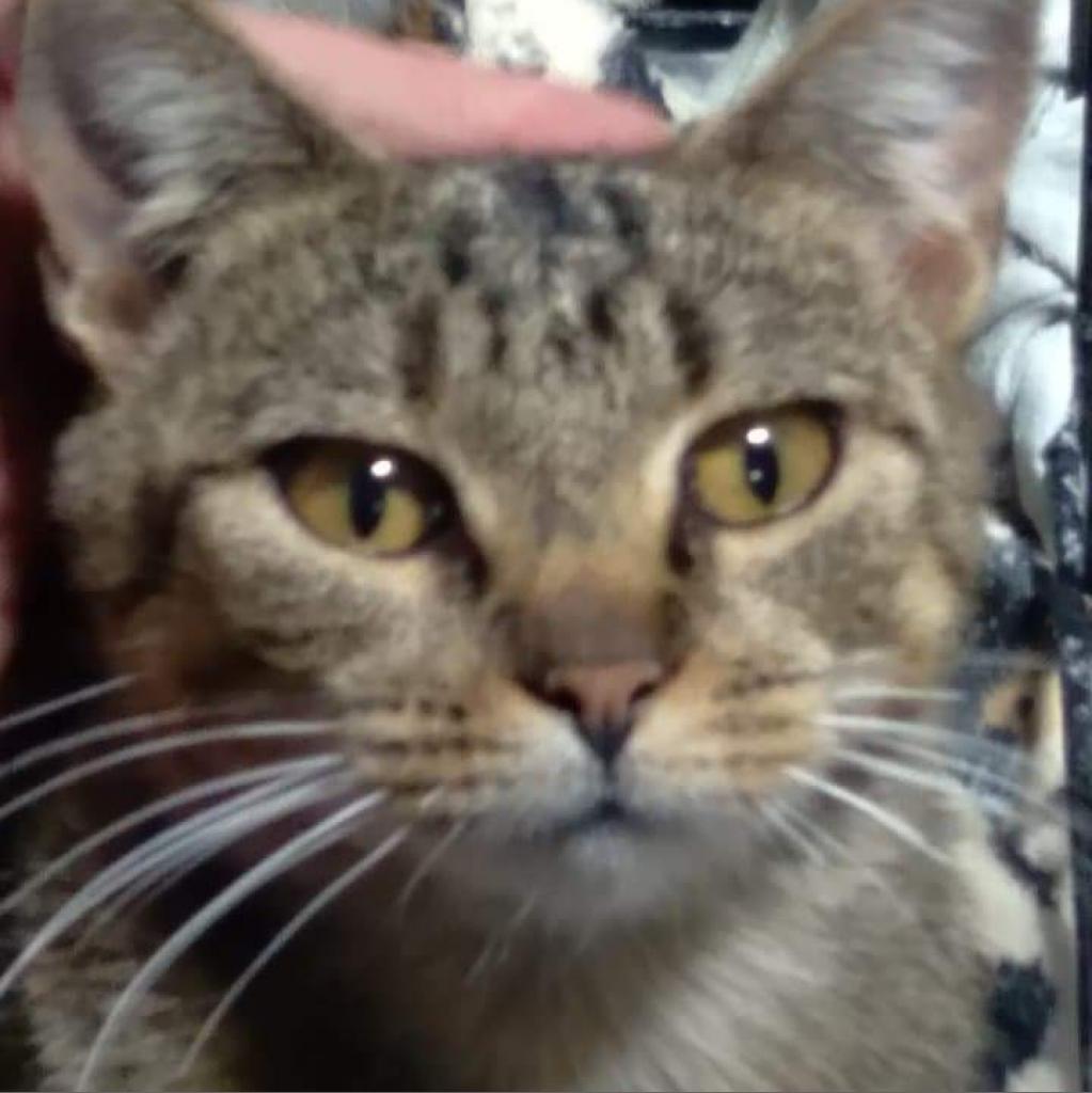 Philomena — thumbnail 2