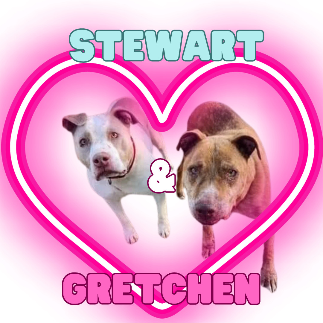 Stewart (and Gretchen)