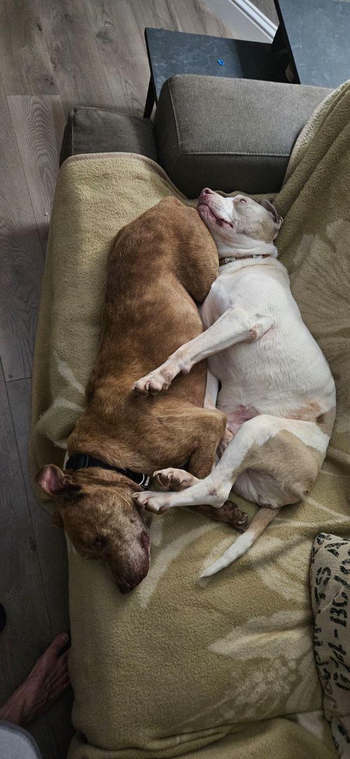 Stewart (and Gretchen)