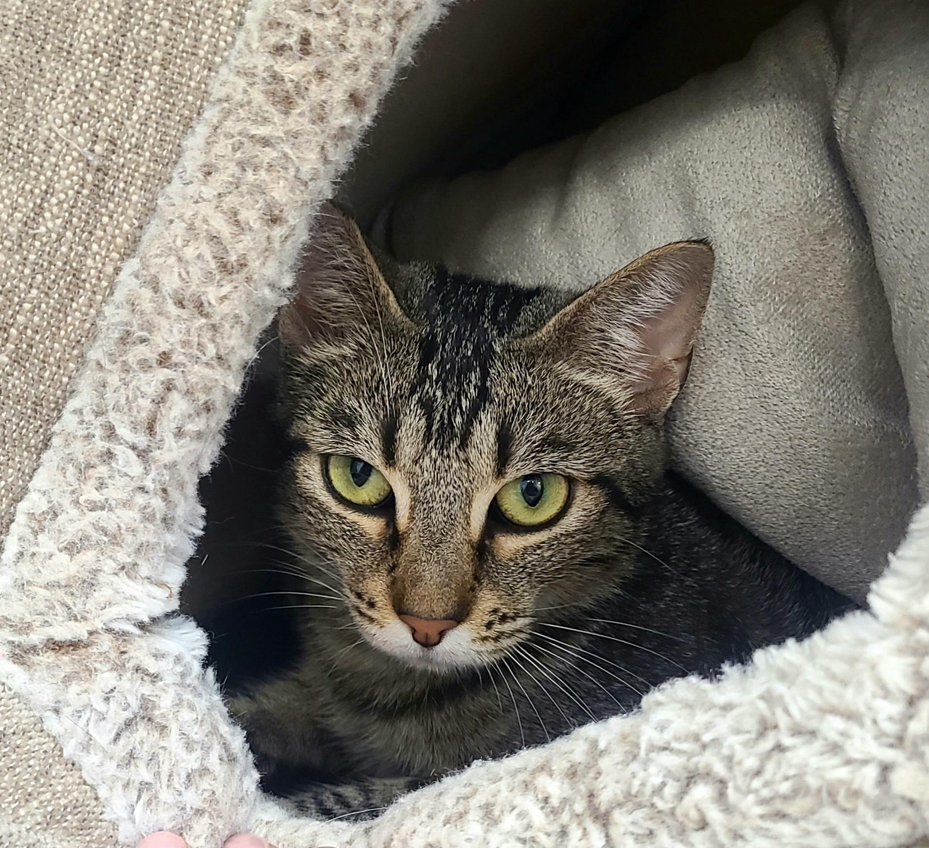 Photo of Freya
