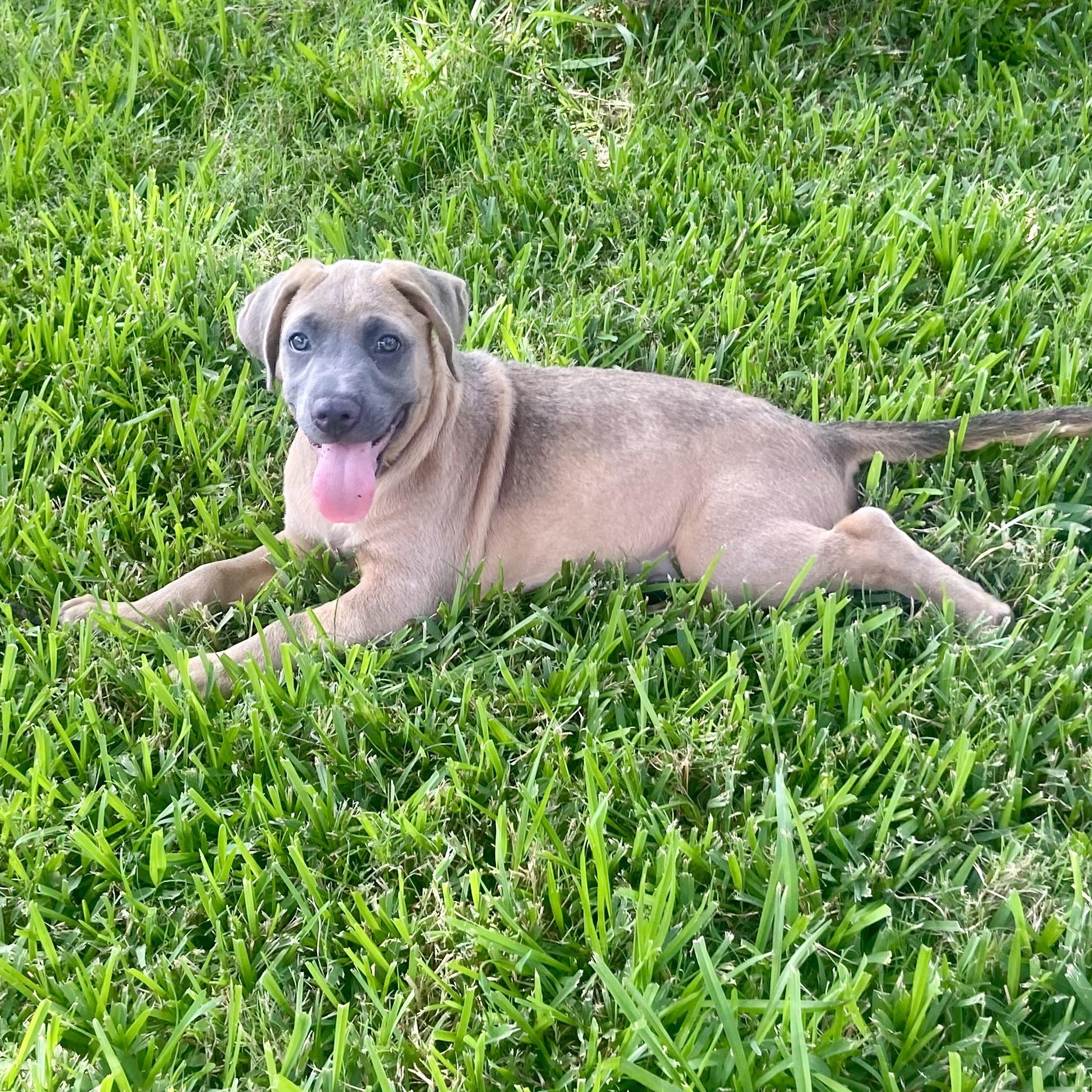 Buster Brown 2